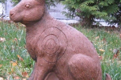 CSS-Hase