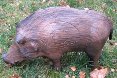 CSS-Wildschwein
