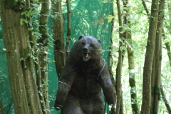 010_OX-BoW-Bär