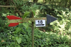 Wegweiser führen euch durch den Parcours.