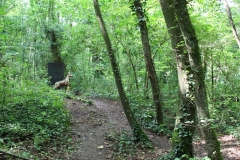 015_OX-BoW-Reh