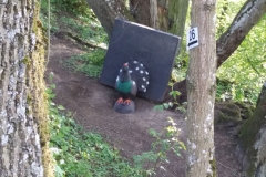 019_OX-BoW-Auerhahn
