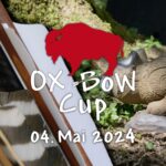 OX-BoW Cup 2024